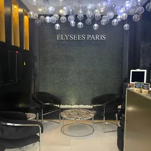 Hotel Elysées Paris